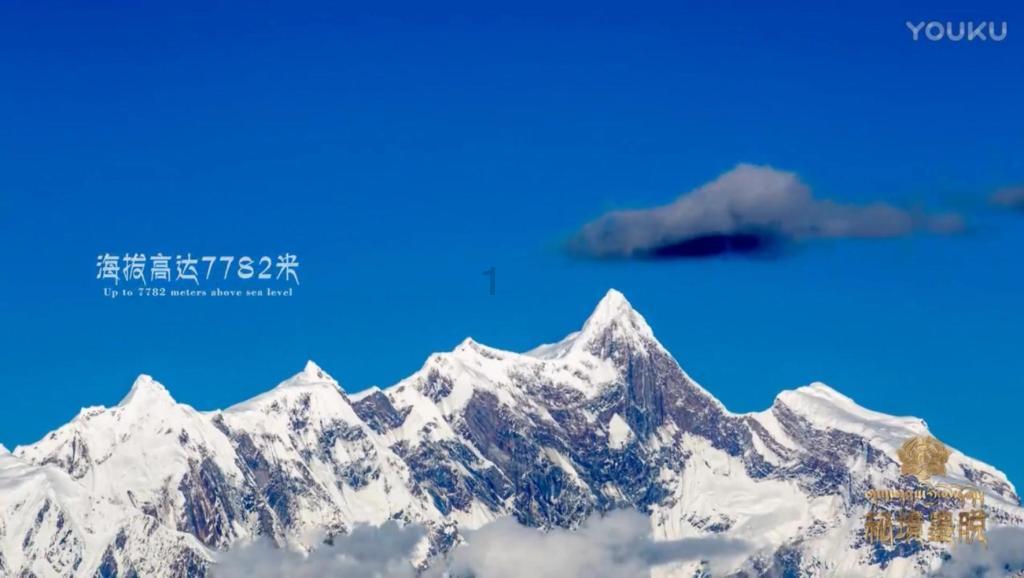国王的坐骑